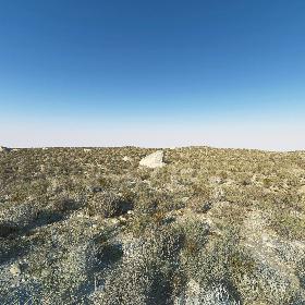 White Dove (Animated) 3D